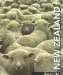 New Zealand : Rural Life cover