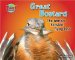 Great Bustard : The World's Heaviest Flying Bird cover