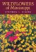 Wildflowers of Mississippi cover