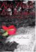Rose Petals for Josephine cover