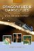 Dragonflies & Damselflies of the Southwest cover