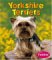 Yorkshire Terriers cover