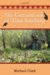 The Cottonwoods of Titus Smithing cover