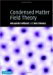 Condensed Matter Field Theory cover