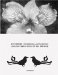 Life Extreme : An Illustrated Guide To New Life cover
