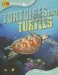 Animal Lives Tortoises and Turtles cover
