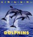 Dolphins cover