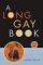 A Long Gay Book : A Play cover