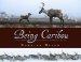 Being Caribou : Five Months on Foot With a Wild Caribou Herd cover