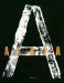 Alaia cover