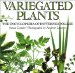 Variegated Plants : A Gardener's Index to Patterned Foliage cover