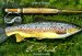 Go Fish : Fishing Journal cover