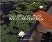 Canoeing and Hiking Wild Muskoka : An Eco-Adventure Guide cover