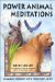 Power Animal Meditations : Shamanic Journeys With Your Spirit Allies cover