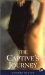 The Captive's Journey cover