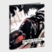 Raymond Pettibon : V-Boom cover