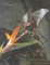  Animal Behavior: Mechanisms, Ecology, Evolution