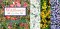 Wild Flowers cover
