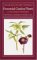 Perennial Garden Plants cover