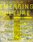 The Church in Emerging Culture : Five Perspectives cover