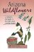 Arizona Wildflowers : A Children's Field Guide to the State's Most Common Flowers cover