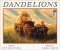  Dandelions