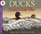 Ducks Don't Get Wet cover