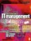 The Make or Break Issues in It Management : A Guide to 21st Century Effectiveness cover