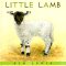  Little Lamb
