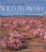 Southern Africa Wildflowers : Jewels of the Veld cover