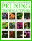 The Illustrated Practical Encyclopedia of Pruning, Training & Topiary : How to Prune and Train Trees, Shrubs, Hedges, Topiary, Tree and Soft Fruit, Climbers and Roses cover