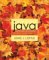 Java Software Solutions : Foundations of Program Design cover
