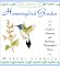  Creating a Hummingbird Garden: A Guide to Attracting and Identifying Hummingbird Visitors