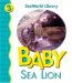 Baby Sea Lion cover