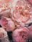 David Austin's Roses 2003 Calendar cover