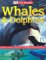  Whales & Dolphins