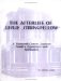 The Afterlife of Leslie Stringfellow : A Nineteenth-century Southern Family's Experiences With Spiritualism cover