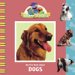 My First Book About Dogs cover