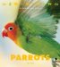 Parrots cover