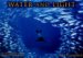Water and Light 2008 Calendar cover
