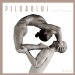 Pilobolus Dance Theater 2007 Calendar cover