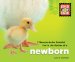 7 Reasons to be Grateful You're the Mother of a Newborn cover