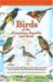  Birds of the Dominican Republic & Haiti