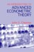 Introduction To Advanced Econometric Theory cover