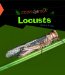 Locusts cover