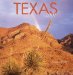 Texas 2007 Calendar cover