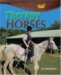 Therapy Horses cover