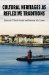Cultural Heritages As Reflexive Traditions cover