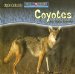 Coyotes Are Night Animals cover