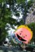 Franklin Richards Son of a Genius : Lab Brat Digest cover